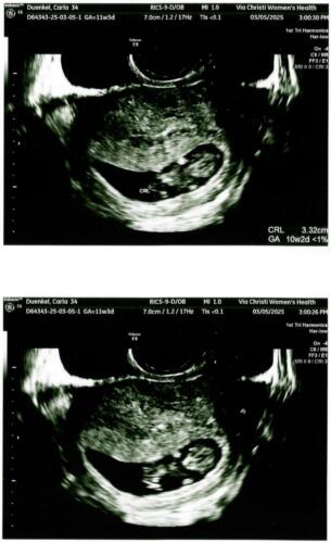 scan_20260406112020